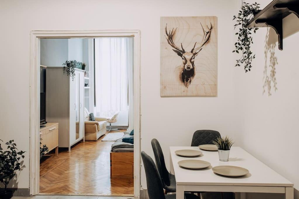 Big Apartment In The City Centre Budapest Ngoại thất bức ảnh