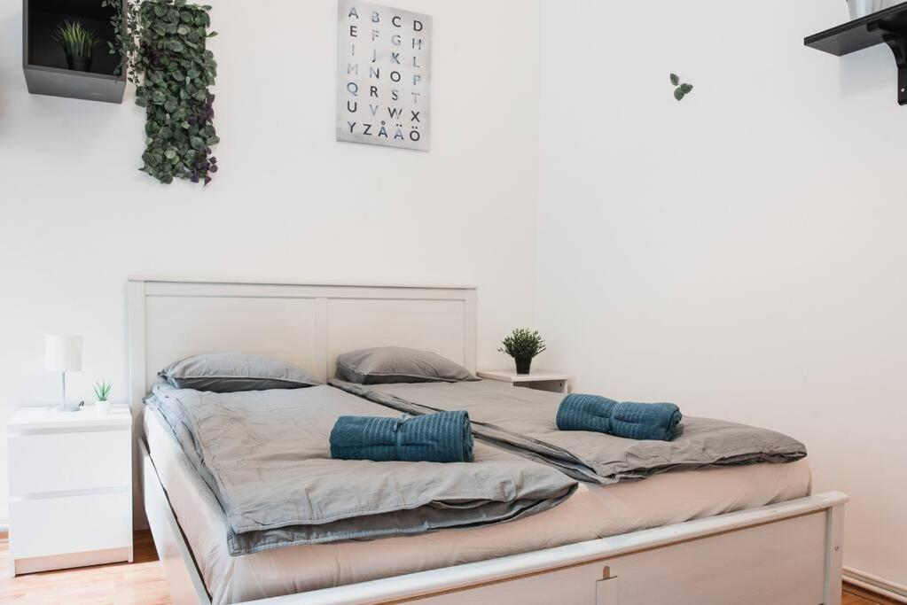 Big Apartment In The City Centre Budapest Ngoại thất bức ảnh