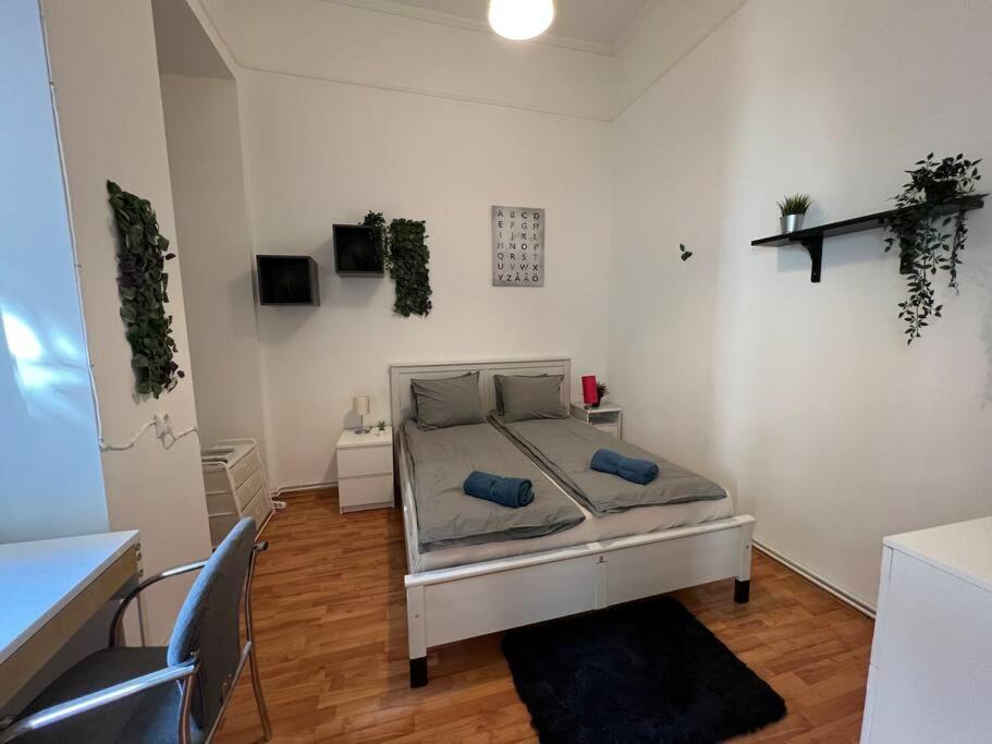 Big Apartment In The City Centre Budapest Ngoại thất bức ảnh