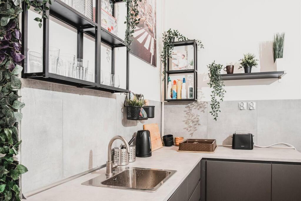 Big Apartment In The City Centre Budapest Ngoại thất bức ảnh