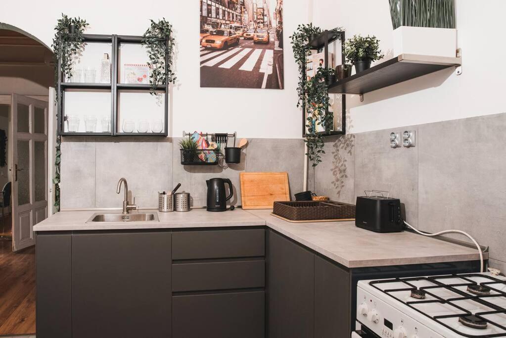 Big Apartment In The City Centre Budapest Ngoại thất bức ảnh