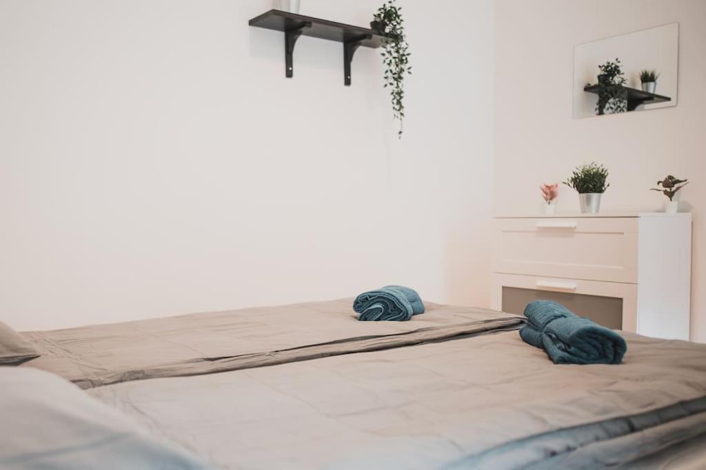 Big Apartment In The City Centre Budapest Ngoại thất bức ảnh